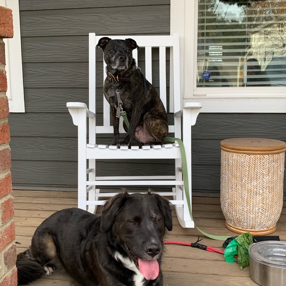 Meet your Posher, Nancy - Picture 1 of 1